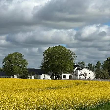 Estate In Calm Nature *